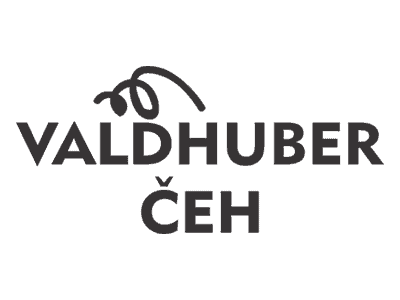 Zasopstvo Valdhuber Čeh Logo